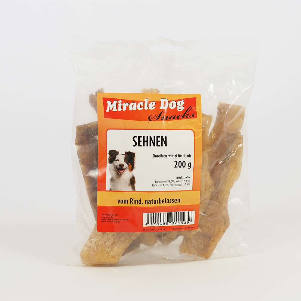Miracle Dog Sehnen