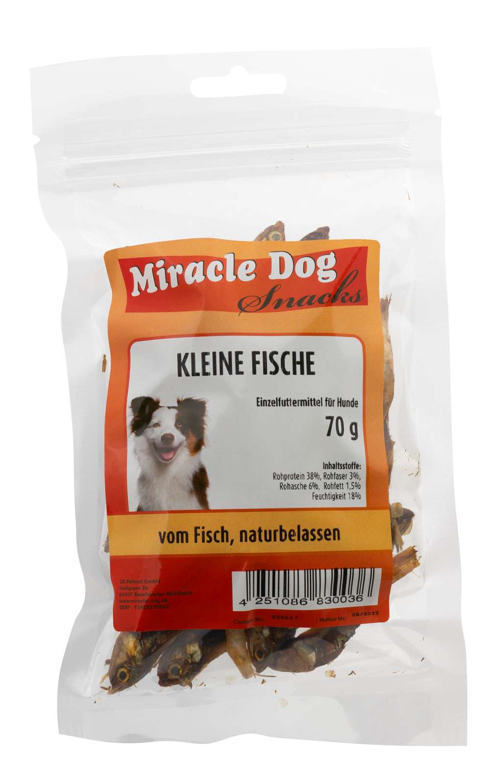 Miracle Dog Kleine Fische